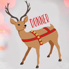 Rênes - En savoir plus sur les rennes du Père Noël - FAQ sur les rennes.